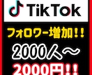2000人TikTokのフォロワーを増やします 些細な疑問でもお答えしますのでご気軽に相談ください！ イメージ3