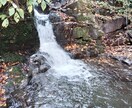 ワンコインで、出生時刻、推測します 出生時刻が分からない方、推測して、出生時刻を割り出します。 イメージ5