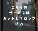 視覚を引き込む動画編集！納期も迅速対応します あなたのアイデア、私たちが映像で形にします！ イメージ2