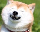 お選びいただいた写真を要望に沿って、お描きします どんな写真でも要望にお答えします！ イメージ4