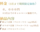 あなたの想いを届けるオリジナル歌楽曲作ります 追加料金なしで「歌付き音源+カラオケ音源」を提供！ イメージ9