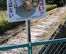 MV,プロダクトPV,フェイク動画作ります 高クオリティCG,VFX制作！様々な制作実績！ イメージ2