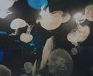 水族館や花の写真出品します 今までに撮り溜めた風景写真を販売致します。 イメージ1