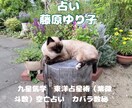 自分も知らない自分自身。カバラ数秘で鑑定します ♡自分とは何者なのか？性格。恋愛。適職。オリジナル鑑定書♡ イメージ6