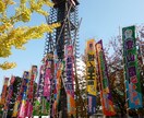 生の大相撲観戦の楽しみ方を聞けます 大相撲ファン歴10年!地方場所も制覇! イメージ1
