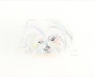ペットちゃん似顔絵＊ふんわりやさしく描きます あなたのこころの陽だまりのような、そんな想いを大切に イメージ1