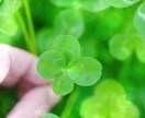恋愛、家族、友達…あなたの本音を伺います 辛い、悲しい胸のうちも雑談も気軽に話してみませんか？ イメージ1