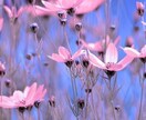 誰にも言えない悩み、優しく聞きます 恋愛・夫婦・仕事なんでもOK優しく聞きます☺︎ イメージ3