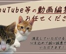YouTuber応援！動画編集依頼受付ます 最短3日納品！センスの良い動画編集致します◉ イメージ1