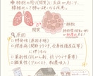 看護師が制作！ミニキャラ説明イラストを作ります 医療・SNS・資料用｜「かわいい・わかりやすい」を大切に イメージ3