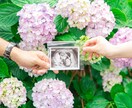 明るくてナチュラルな記念写真を撮影いたします 自然な雰囲気とフォーマルな写真どちらも◎80カット以上保証 イメージ6