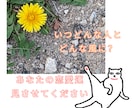 特別価格！恋愛運、タロットカードに聞いてみます 夏が来る前に！恋をしたい！いつになったらどんな恋人ができる？ イメージ2