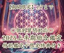 2025年上半期総合鑑定《＋個別詳細鑑定》します 【期間限定】1/7まで特別鑑定＋限定特典付き イメージ1