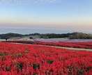 大阪弁の女がお相手します 悩み、愚痴、のろけ、ネタ！なんでもどーぞ！ イメージ2