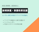 1ヶ月〜伴走支援｜新規事業・事業改革を支援します コンサル×金融の視点でアイデアの収益化を伴走支援 イメージ1