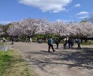 誰にも言えない悩み、愚痴話しや雑談、何でも聞きます 人間関係、仕事の悩み等、話して、スッキリしませんか？ イメージ2