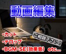 動画編集します YouTubeなどSNSの投稿を中心にサポート致します。 イメージ1