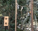 ご新規様専用✨同業者妨害に遭い閉鎖してます 嫌がらせは通報しました‼️他サービスから入ってください⭐️ イメージ2