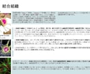英語⇆日本語翻訳します スピーディーに丁寧に、ビジネス・一般英語⇆日本語翻訳します！ イメージ4