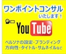 YouTubeワンポイントコンサルで相談に乗ります 伸びない理由,方向性,動画添削,ペルソナ設定等何でもお任せ！ イメージ2