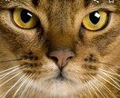 てらえり。様専用ページでございます てらえり。様　よろしくお願いいたします。 イメージ1