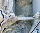 需要拡大中！洗濯機クリーニングプロの技術を教えます 身近な家電、洗濯機のプロになろう！ イメージ10