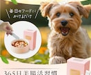 LP FV（ファーストビュー）制作します コンバージョンを意識したデザイン作成します イメージ1