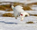 悩みや愚痴、モヤモヤ何でも聴きます 寄り添い元気になってもらえるよう努めてます。 イメージ1