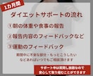 プロが1ヶ月間ダイエットをサポートします 食事・運動・メンタル面を軸にプロがサポートします イメージ5