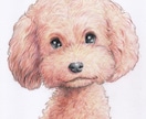 ペット・動物似顔絵お描きします 可愛いペット・動物を鉛筆／色鉛筆でスケッチ風、写実系似顔絵に イメージ8