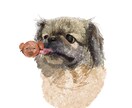 動物のイラストかきます 大切な動物のお友達をそのままイラストに！ イメージ4