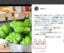 インスタグラムでコツコツフォロワーを増やせます いいね！がなかなか増えないとお悩みのあなたへ イメージ1