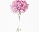 デジタルでお花のイラスト描きます アナログ風のタッチのCGイラスト イメージ2
