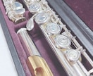 初心者向けフルートレッスンします フルート歴10年！優しくサポートします！ イメージ1