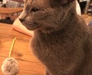 今まで誰にも理解されなかった悩みの相談承ります 言えない、言っても解ってくれない辛いあなたへ。 イメージ1