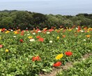 あなたのいろんなお話聞かせていただきます 第3者だからこそお気軽にお話しましょう！ イメージ2