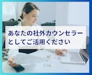 経営者・管理職向け 社外カウンセラーになります 部下との関わり/人間関係の悩み/仕事の悩み/傾聴・分析します イメージ4