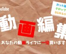 YouTube動画をお安く編集致します カット編集、字幕入れ、サムネイル作成など イメージ1