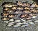 完全初心者向け、釣りの楽しさ教えます 釣り歴20年の私が釣りの全てを伝授いたします！ イメージ5