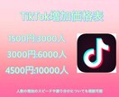 TikTokのフォロワー増やします 全世界にあなたのアカウントを宣伝してフォロワーを手に入れよう イメージ2