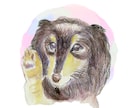 ペットの似顔絵描きます アナログでペットの似顔絵を描きます。 イメージ6