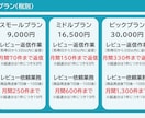 楽天市場の面倒なレビュー業務を一括代行いたします レビュー管理で売上向上！レビュー依頼から返信まで一括代行！！ イメージ7