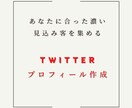 あなたのTwitterのプロフィールを添削します 貴方にあったプロフィールを提供します イメージ1