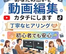 即返信に定評あり！SNS等の動画編集します 視聴者目線を第一に！丁寧にヒアリングしていきます！ イメージ1