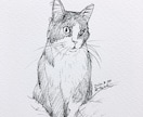 猫ちゃんのイラスト絵を手描きで描きます 猫ちゃんのお写真からわたくしが手描きでイラスト絵を描きます イメージ9