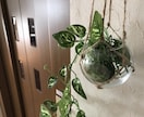 売れる？！人気講座⭐植物ハンガー作り方教えます うまく出来たらネット通販などでジャンジャン販売しましょう！！ イメージ4