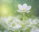 あの人って運命の相手？魂の相性を鑑定します 気になるあの人は、もしかして前世で恋人だったかも♡ イメージ8