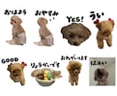 LINEスタンプ・絵文字・着せ替えお作りします ペットやオリジナルキャラクターのLINEスタンプ・絵文字作成 イメージ6