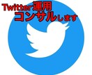 Twitter運用コンサル、アドバイスします 個人様でも大歓迎！Twitterを一緒に伸ばしましょう イメージ1