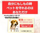 もしもの時、ペットを守れるカード作成します 写真入り｜緊急時にすぐ伝わるペット防災カード イメージ1